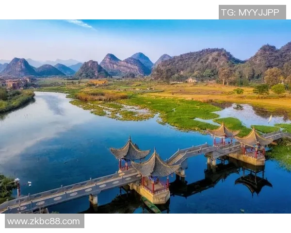 G2战队与AFC对决精彩回顾及战术分析全景呈现